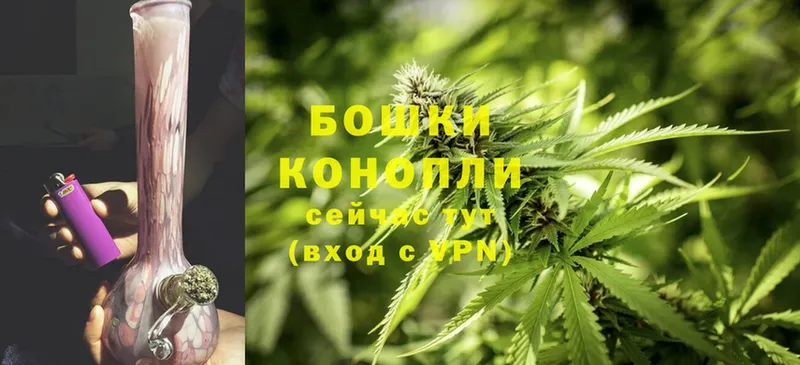 Каннабис SATIVA & INDICA  ссылка на мегу зеркало  Дигора 